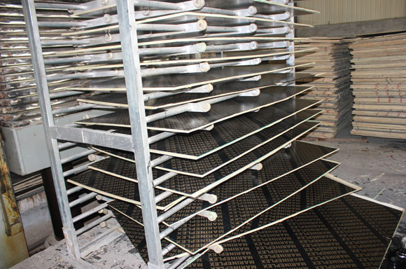 ������Ĥ��