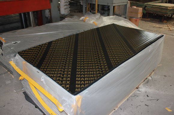 ������Ĥ��