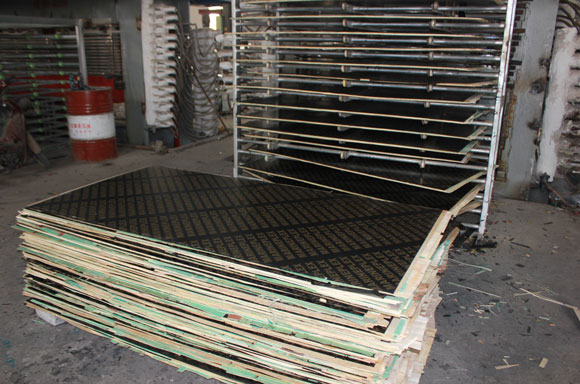 ������Ĥ��