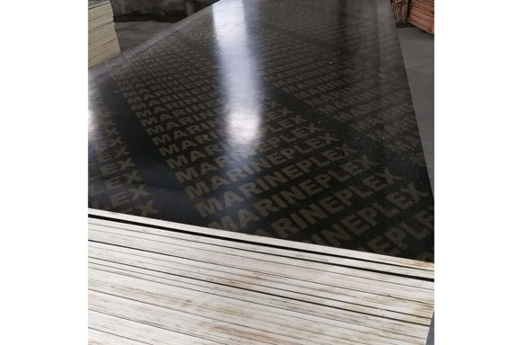 ������Ĥ��