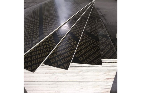 ������Ĥ��