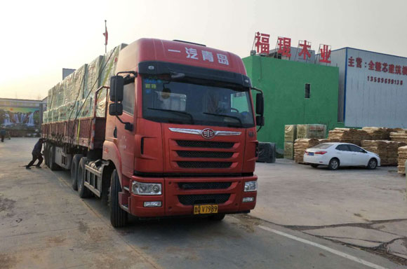 ������Ĥ��