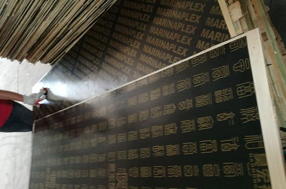 ������Ĥ��