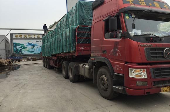 ������Ĥ��