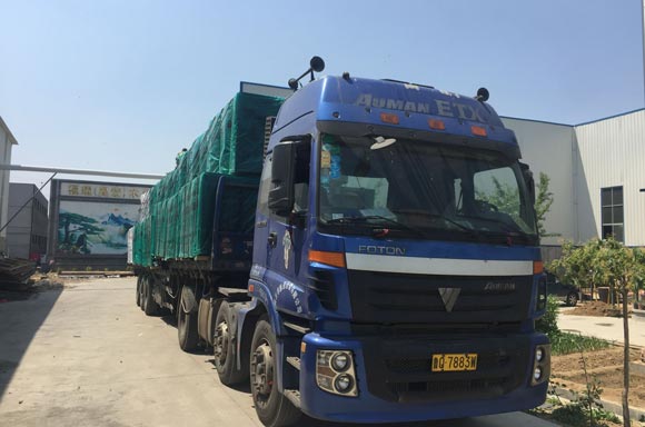 ������Ĥ��