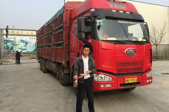 ������Ĥ��