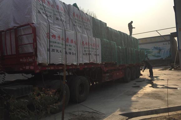 ������Ĥ��